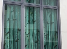 windows